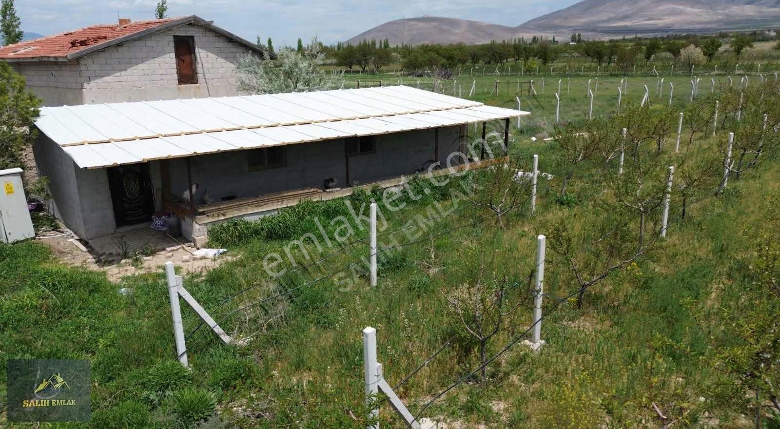 Salih Emlak'tan Sazlıca'da 12.000 M2 Bakımlı Şeftali Bahçesi - Görsel 8