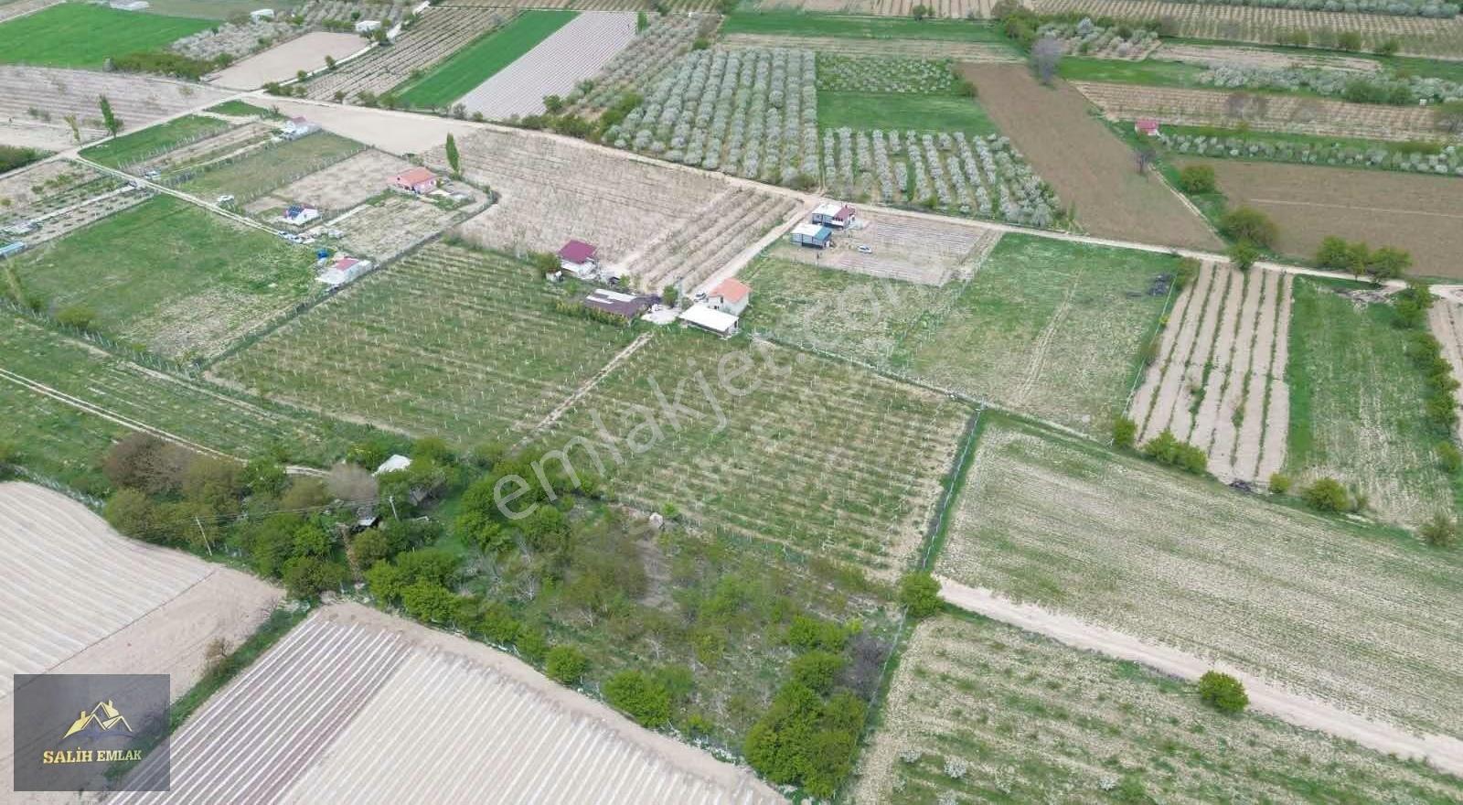 Salih Emlak'tan Sazlıca'da 12.000 M2 Bakımlı Şeftali Bahçesi - Görsel 30