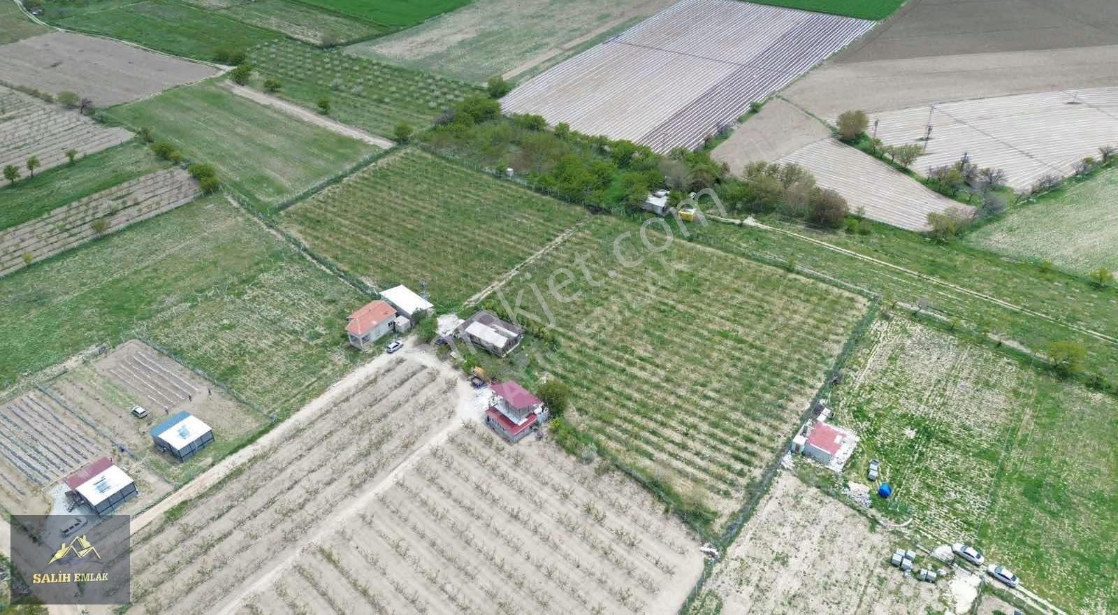 Salih Emlak'tan Sazlıca'da 12.000 M2 Bakımlı Şeftali Bahçesi - Görsel 22