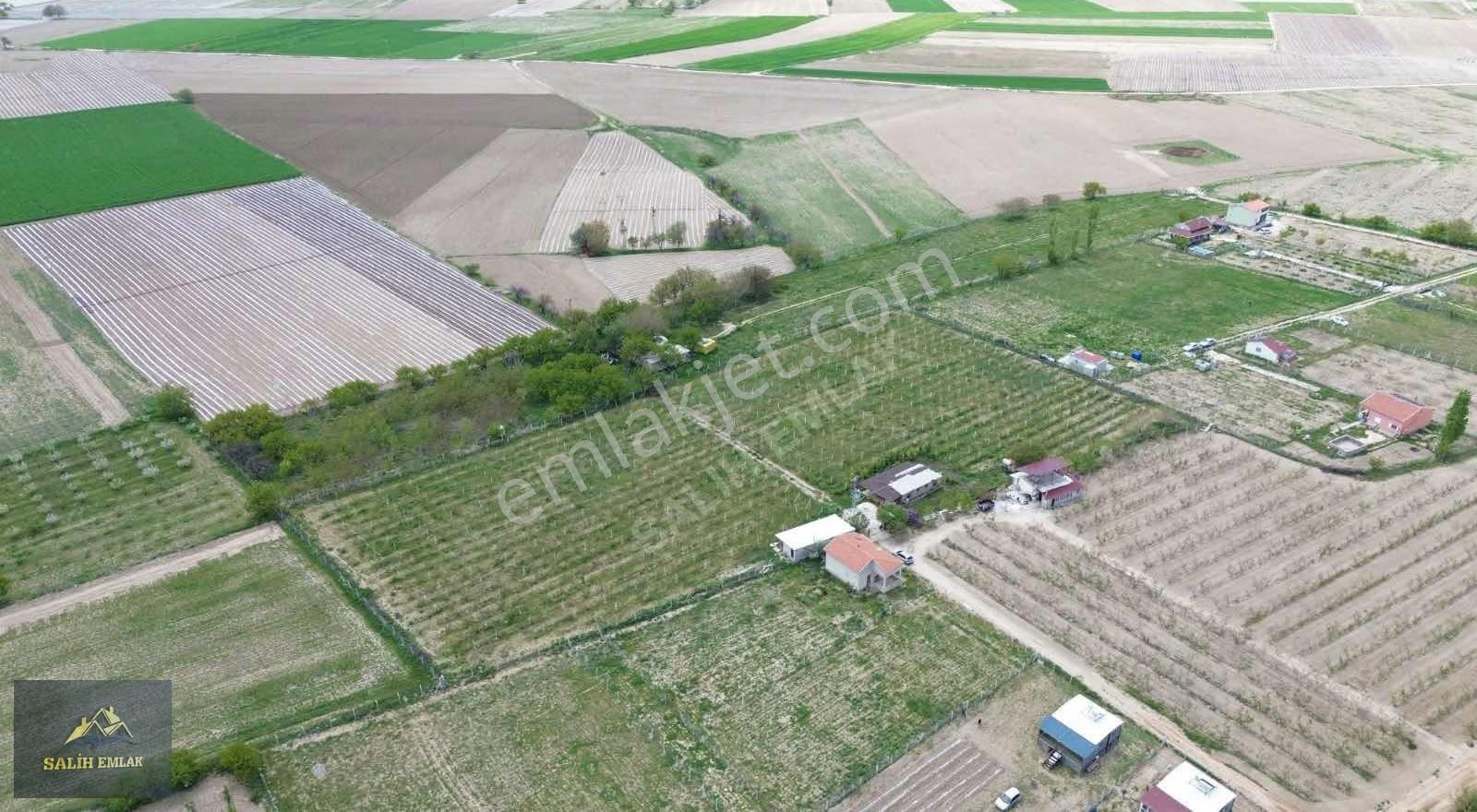 Salih Emlak'tan Sazlıca'da 12.000 M2 Bakımlı Şeftali Bahçesi - Görsel 17
