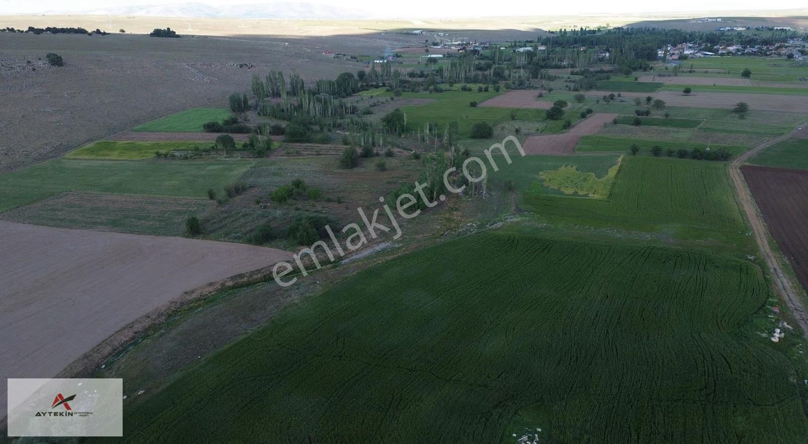 Akören Orhaniye Mahallesinde 2196 M² Müstakil Tapulu Tarla - Görsel 4
