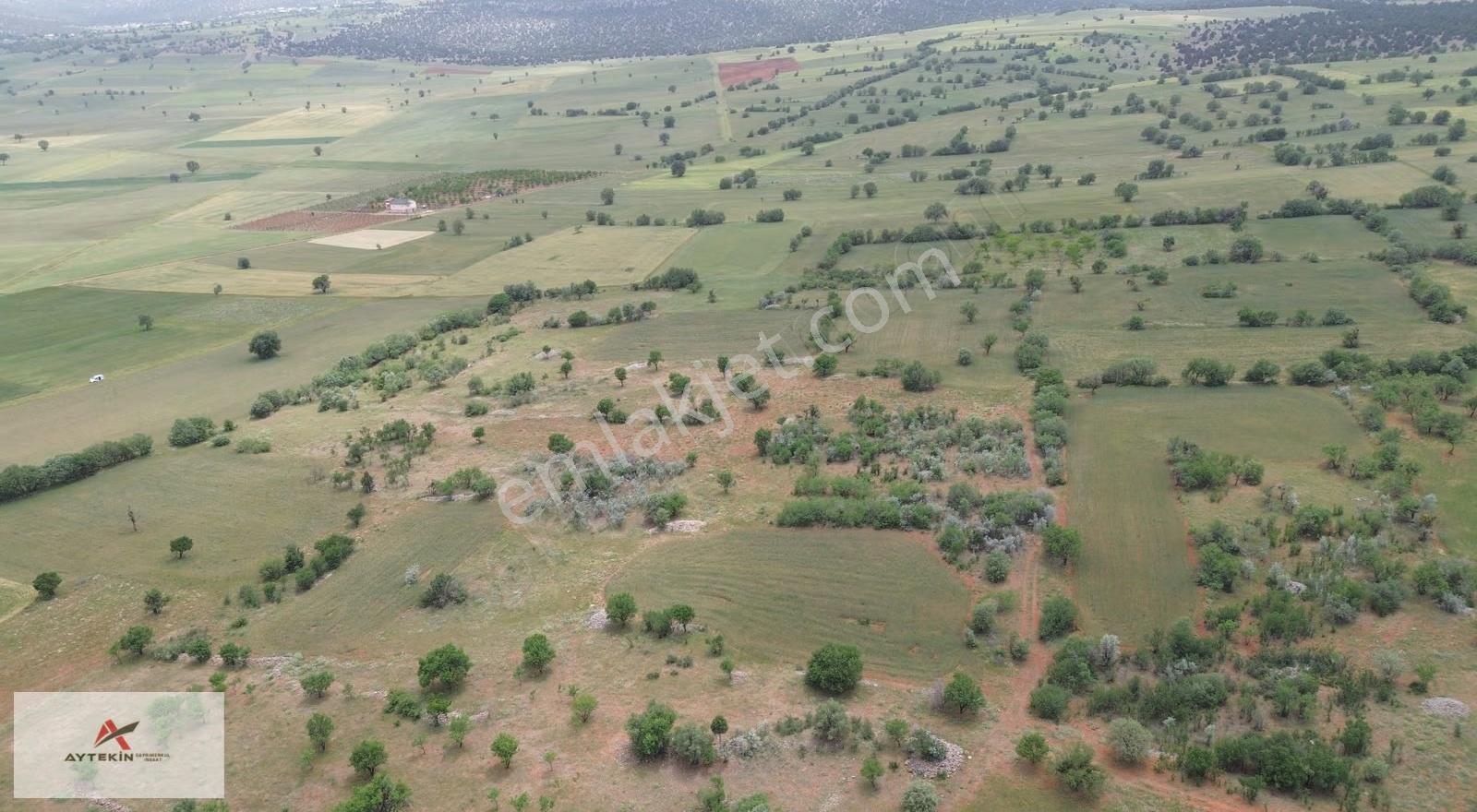 Akören Karahüyük Mahallesinde 3.817 M² Müstakil Tapulu Bağ - Görsel 7