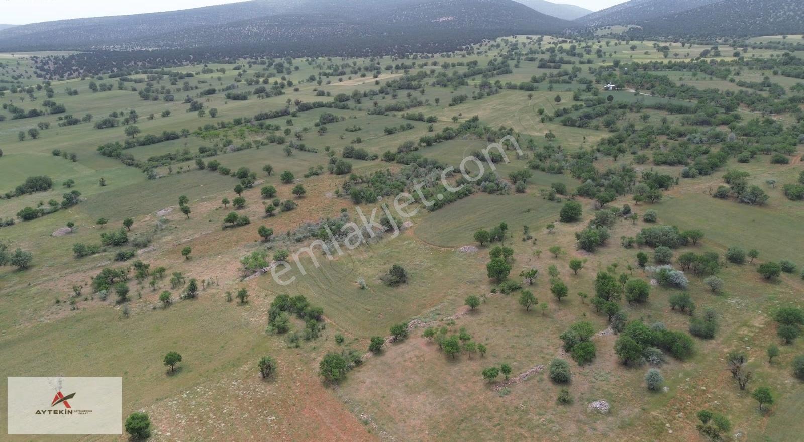 Akören Karahüyük Mahallesinde 3.817 M² Müstakil Tapulu Bağ - Görsel 4