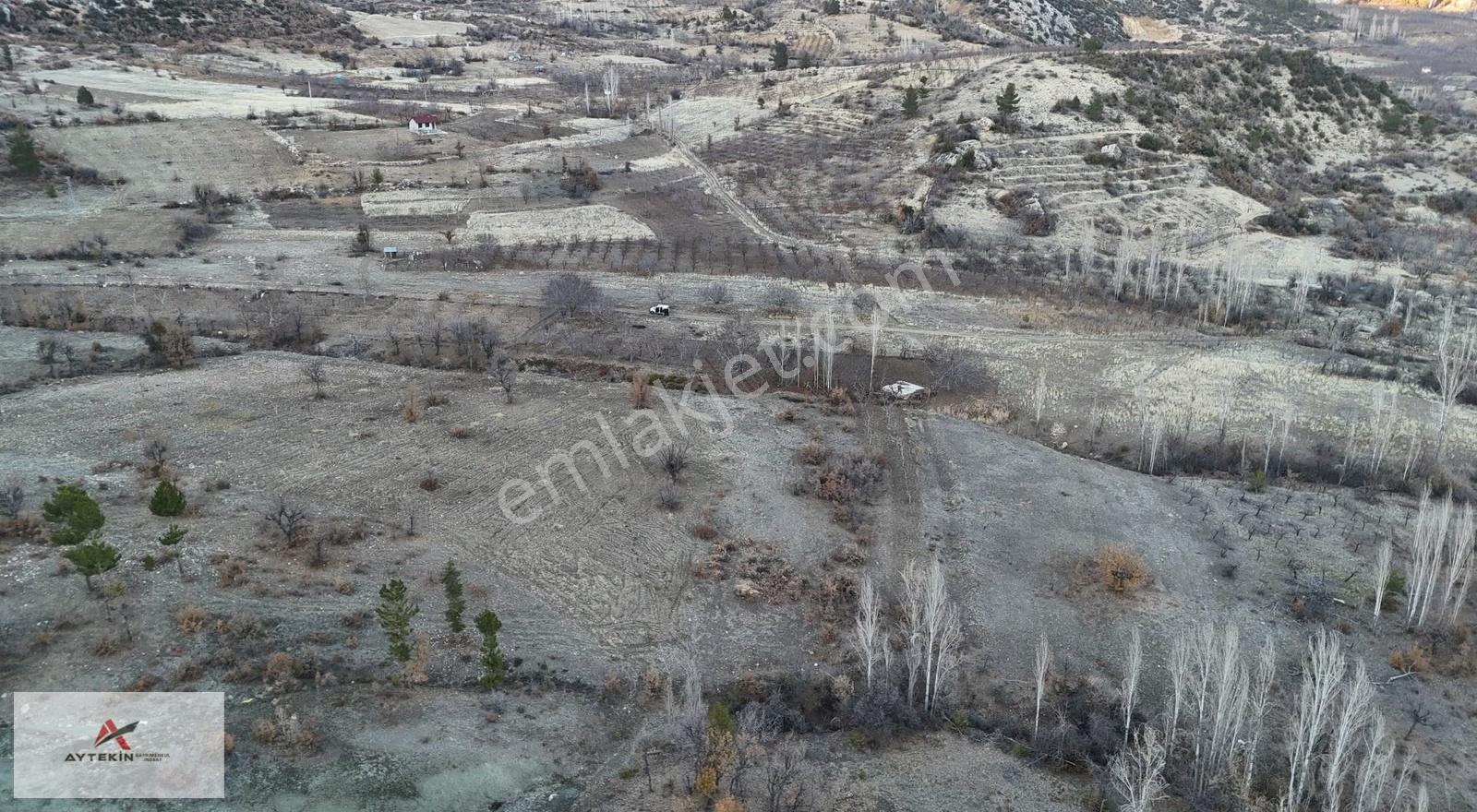 Ermenek Boyalık Mahallesinde 1.003 M² Müstakil Tapulu Tarla