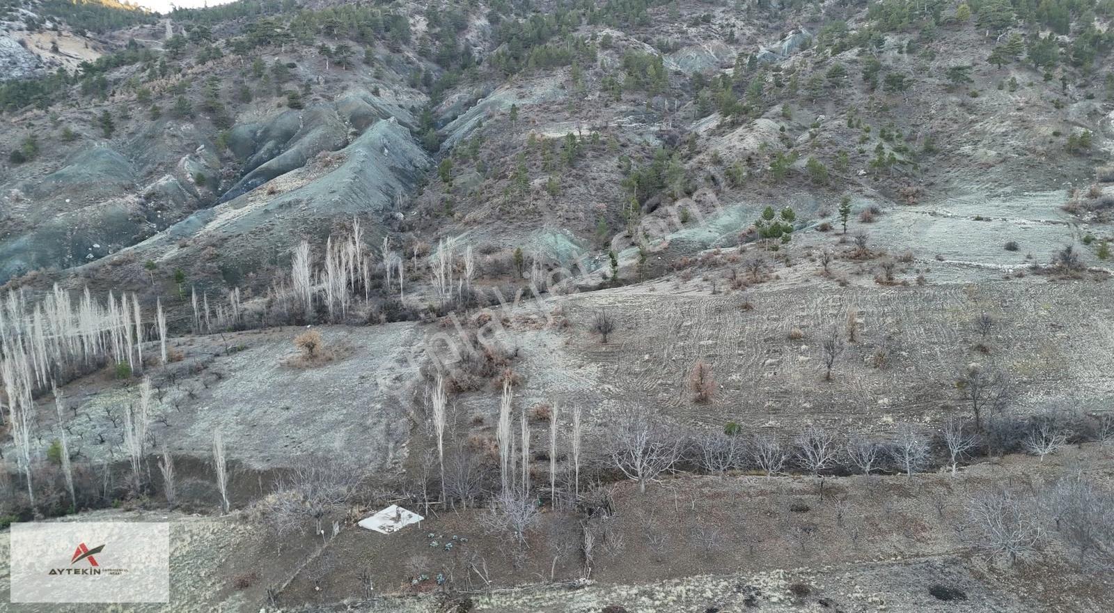 Ermenek Boyalık Mahallesinde 1.003 M² Müstakil Tapulu Tarla - Görsel 2