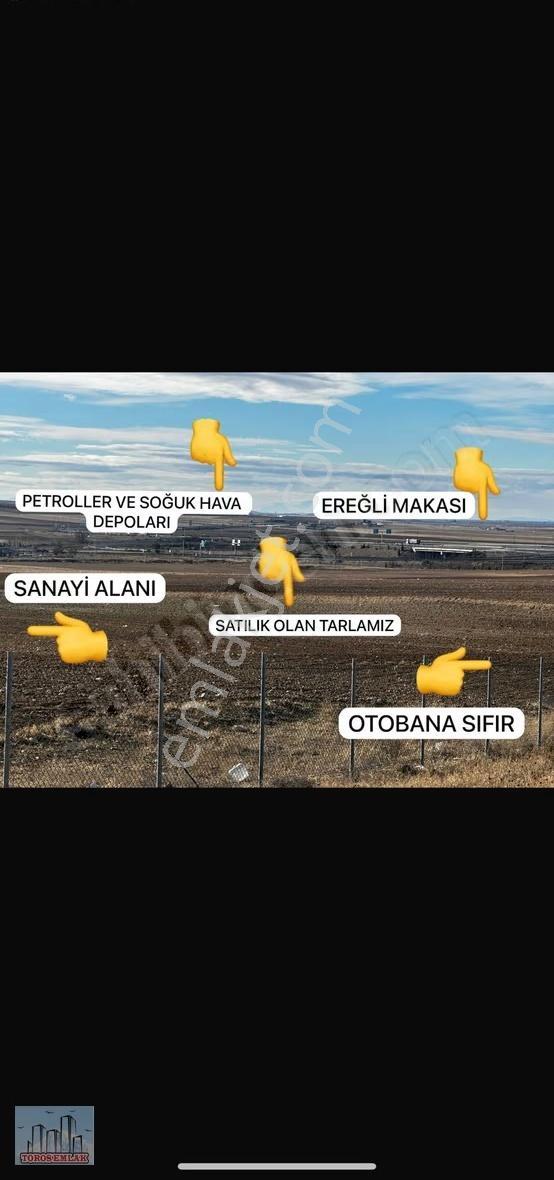 Toros Emlak'tan Ulukışla Alpagut Satılık 11 Dönüm Tarla - Görsel 5