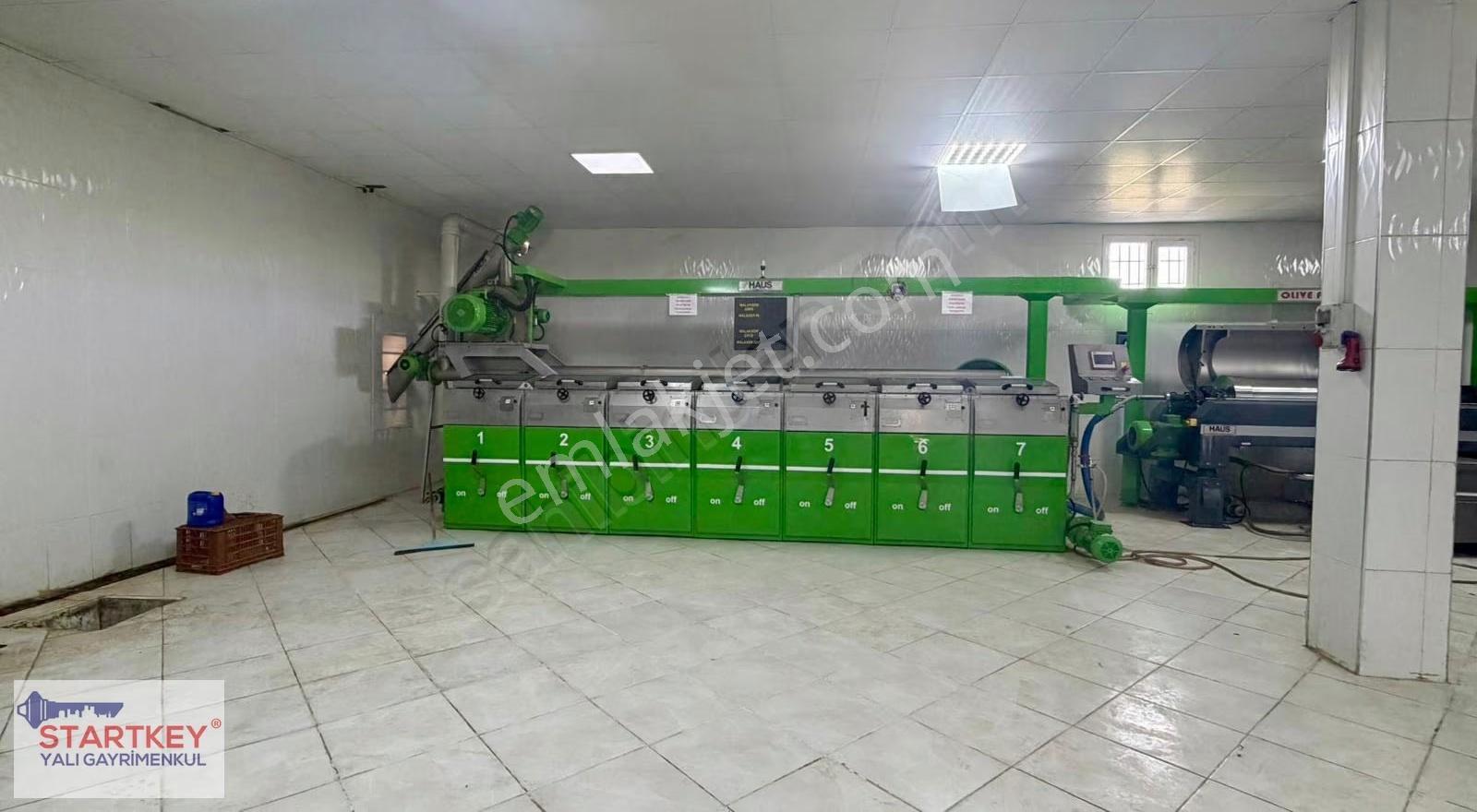 Manisa Ahmetli'de Yüksek Kapasiteli ,faal Durumda Yağ Fabrikası - Görsel 32