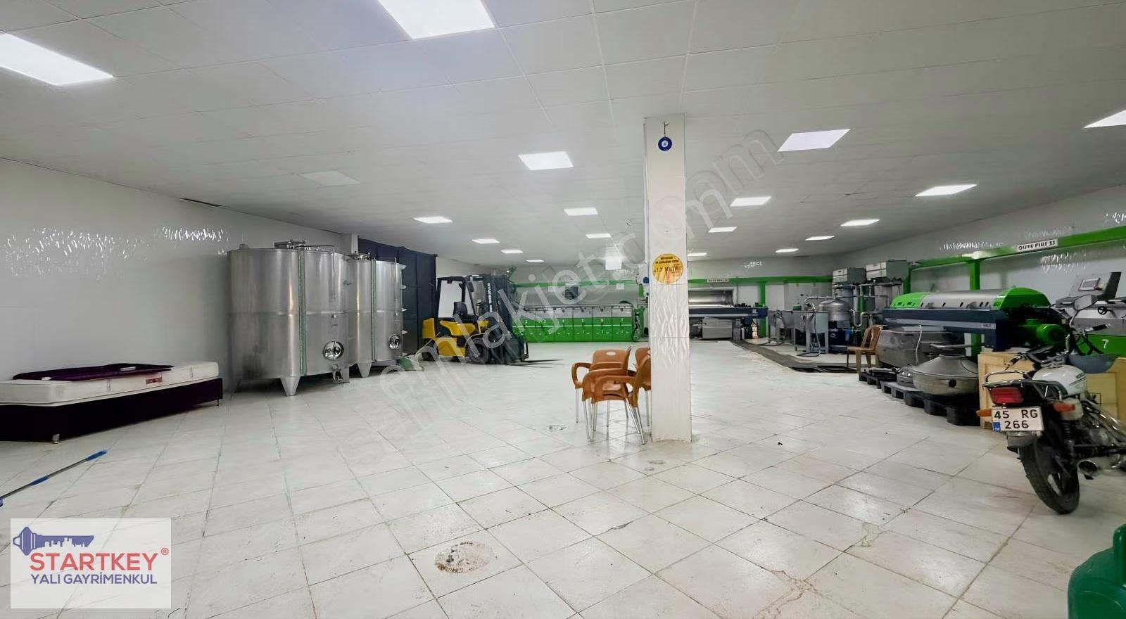 Manisa Ahmetli'de Yüksek Kapasiteli ,faal Durumda Yağ Fabrikası - Görsel 3