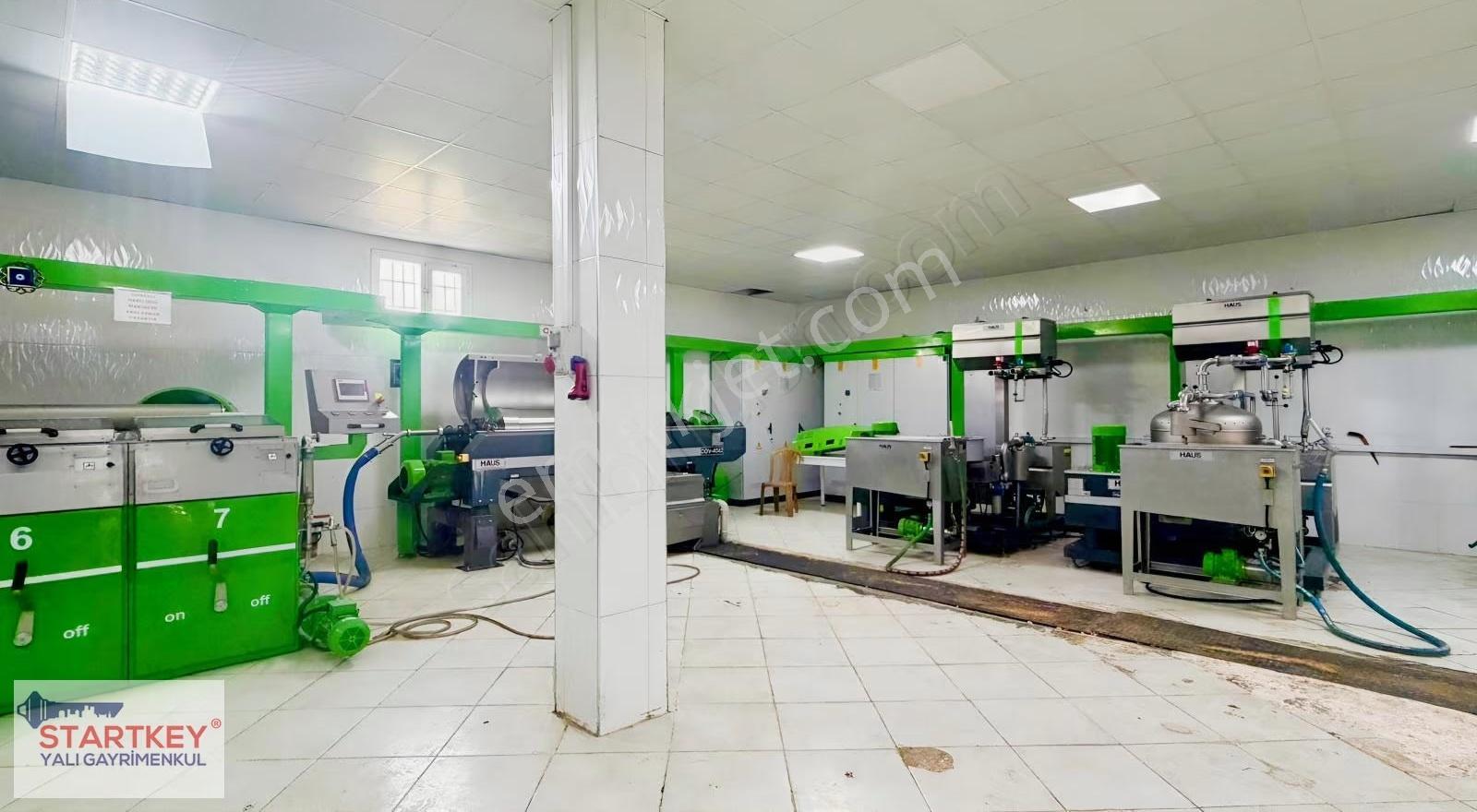 Manisa Ahmetli'de Yüksek Kapasiteli ,faal Durumda Yağ Fabrikası - Görsel 29