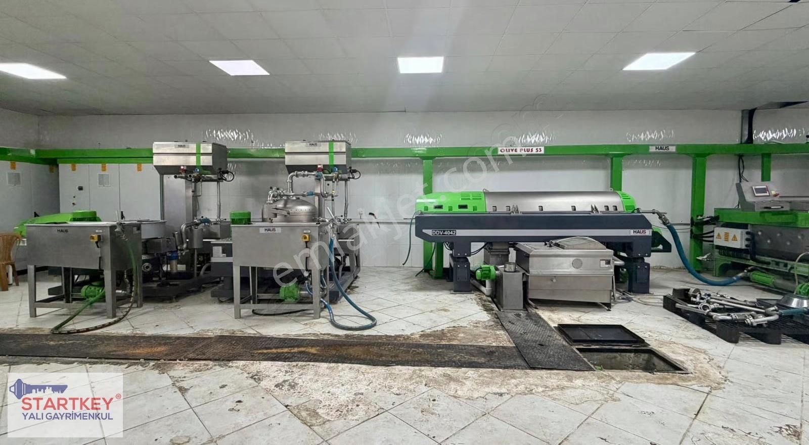 Manisa Ahmetli'de Yüksek Kapasiteli ,faal Durumda Yağ Fabrikası - Görsel 7
