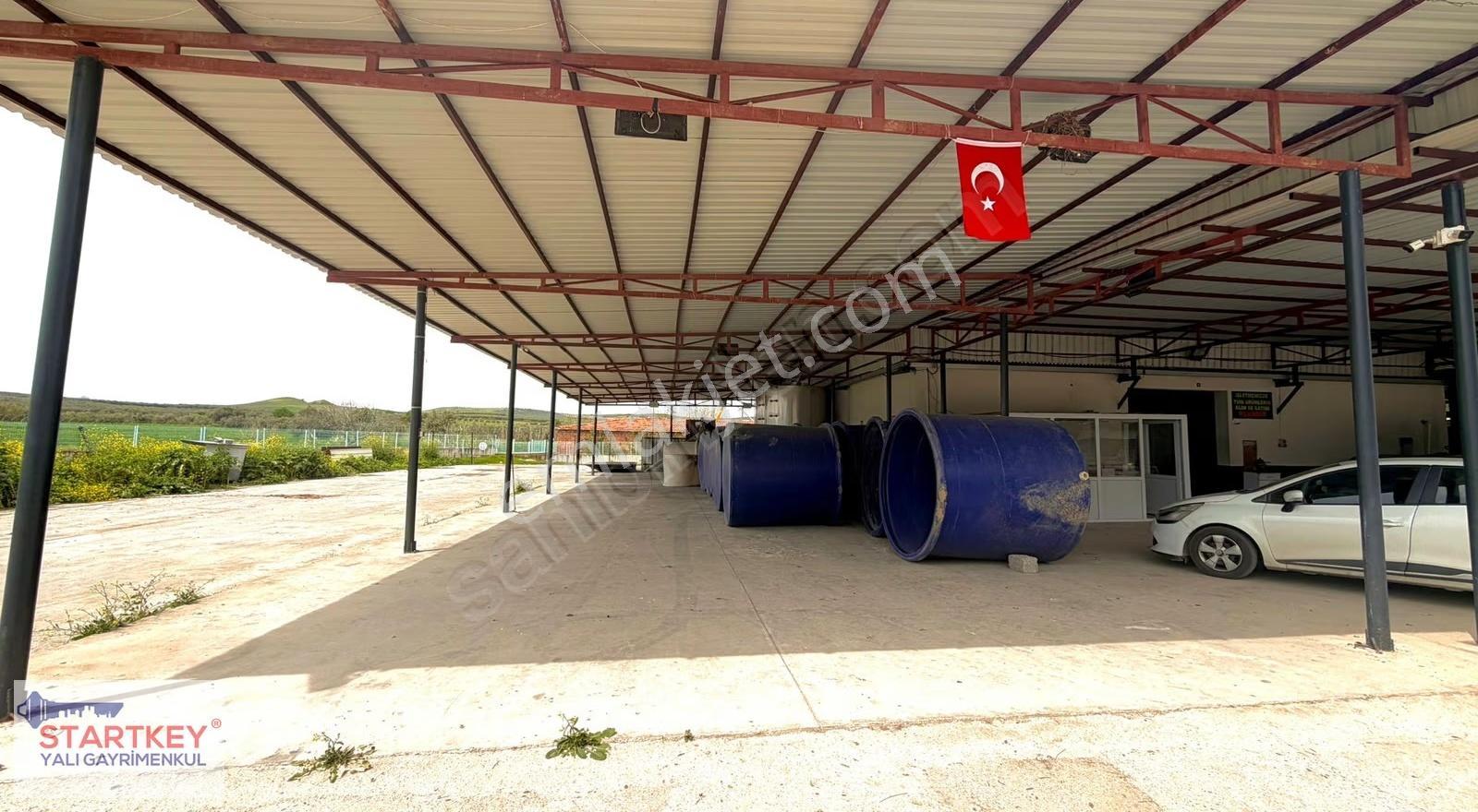 Manisa Ahmetli'de Yüksek Kapasiteli ,faal Durumda Yağ Fabrikası - Görsel 5