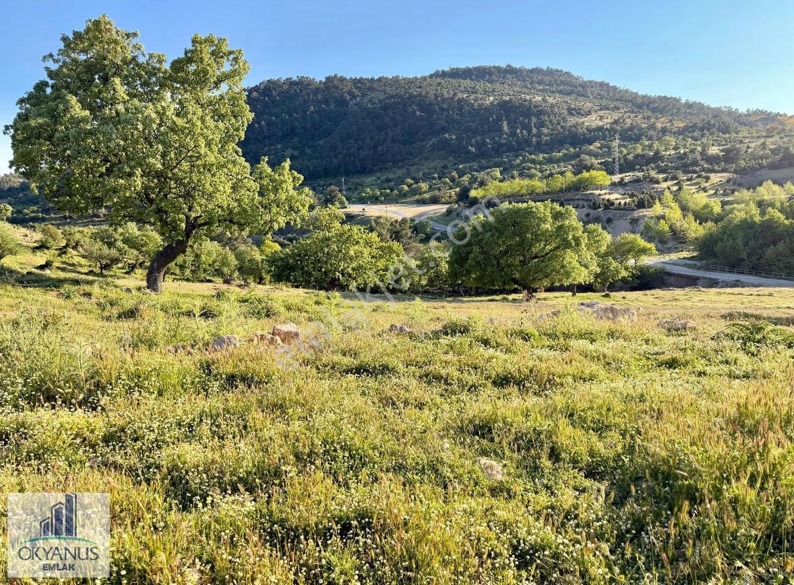 Davutlar Da 740 M2 Arsa, Köşe Parsel, 2.5 Kat İmarlı - Görsel 30