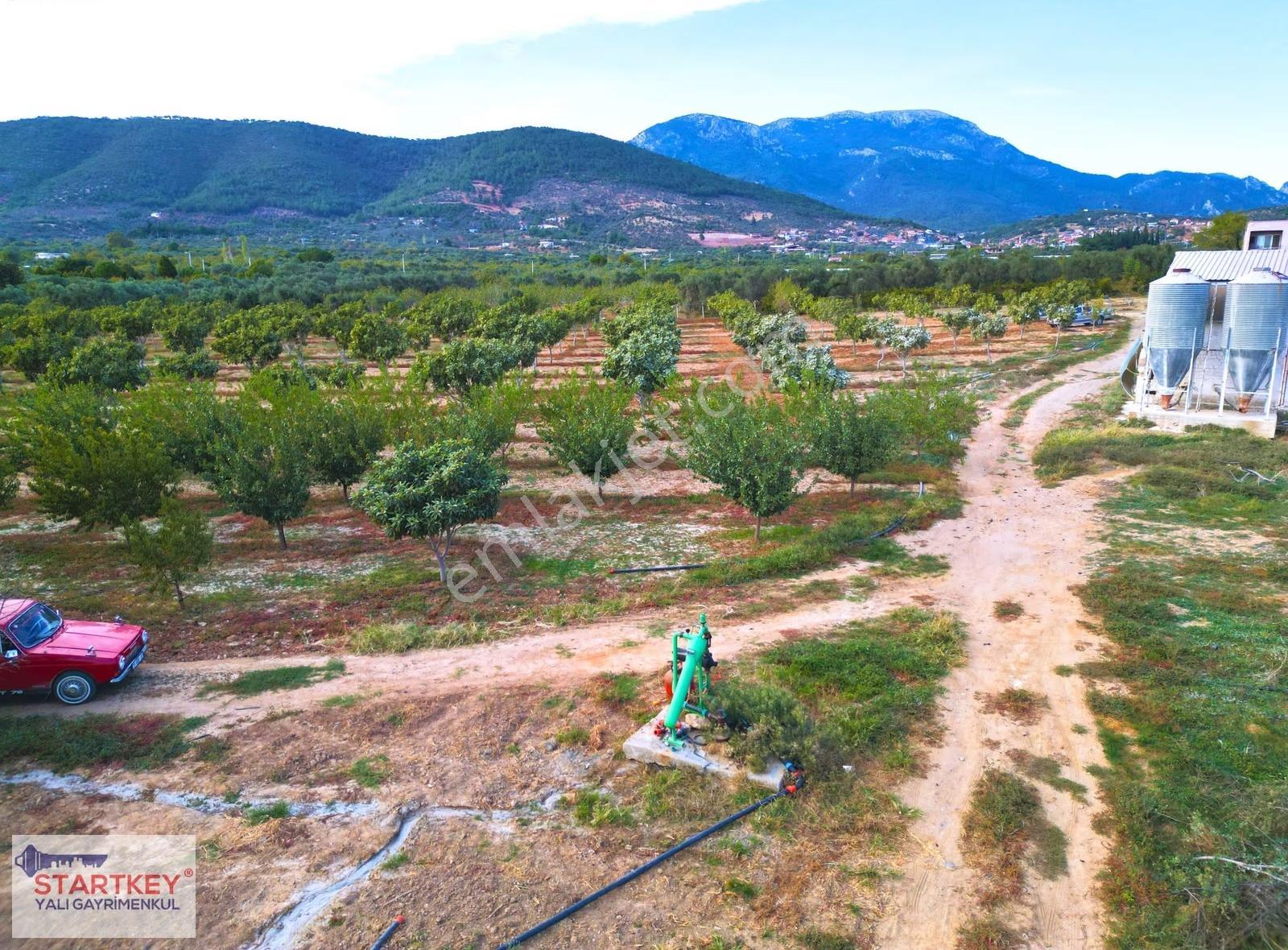 Torbalı Dağkızılca Kadastral Yol Cepheli Satılık 43dönüm Çiftlik - Görsel 5