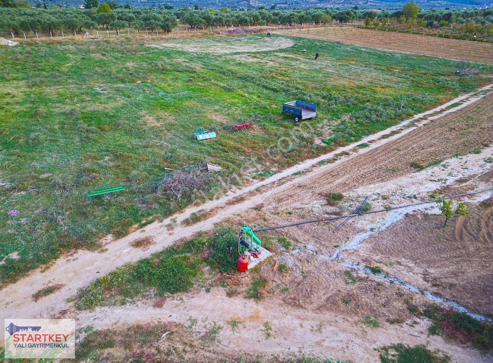 Torbalı Dağkızılca Kadastral Yol Cepheli Satılık 43dönüm Çiftlik - Görsel 7