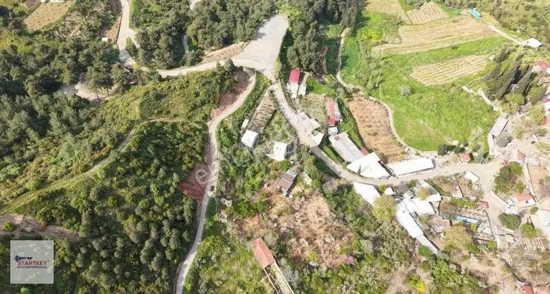 Startkey Star' Dan Hamzabab Da Yol Kenarı Bahçe - Görsel 4