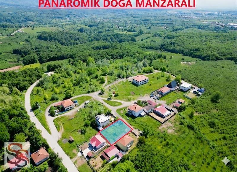 Hendek Mahmutbey Mahallesi 426 M² % 60 - 2 Kat Konut İmarlı Arsa - Görsel 14