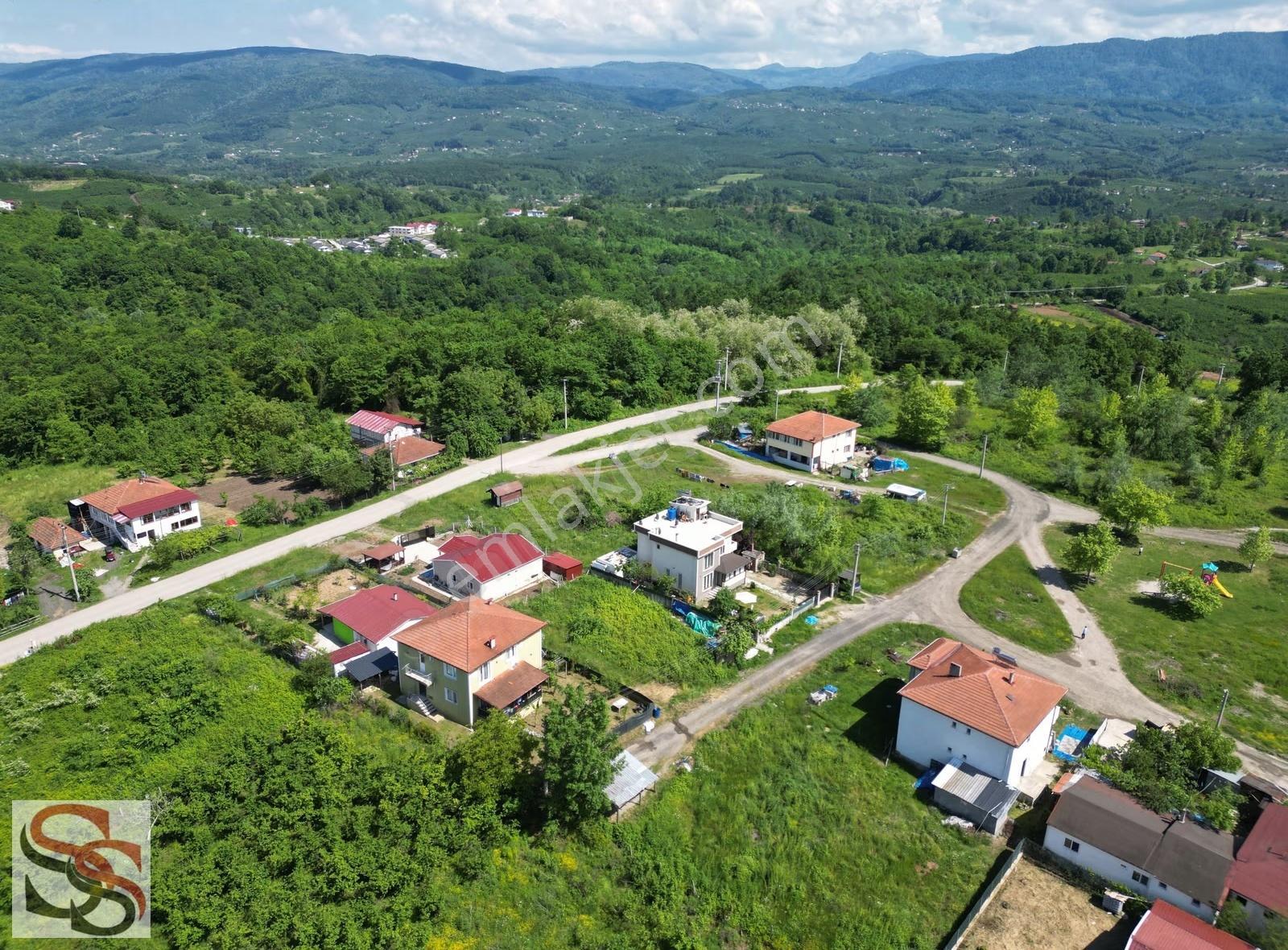 Hendek Mahmutbey Mahallesi 426 M² % 60 - 2 Kat Konut İmarlı Arsa - Görsel 32