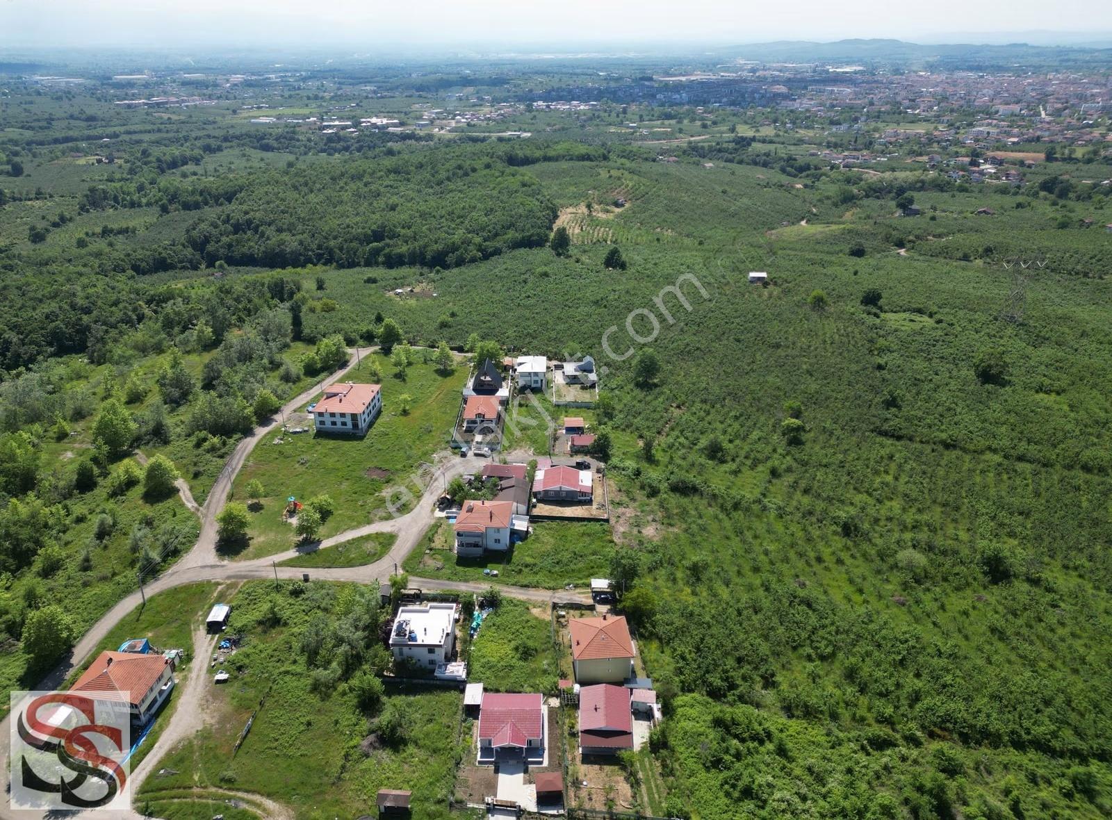 Hendek Mahmutbey Mahallesi 426 M² % 60 - 2 Kat Konut İmarlı Arsa - Görsel 13