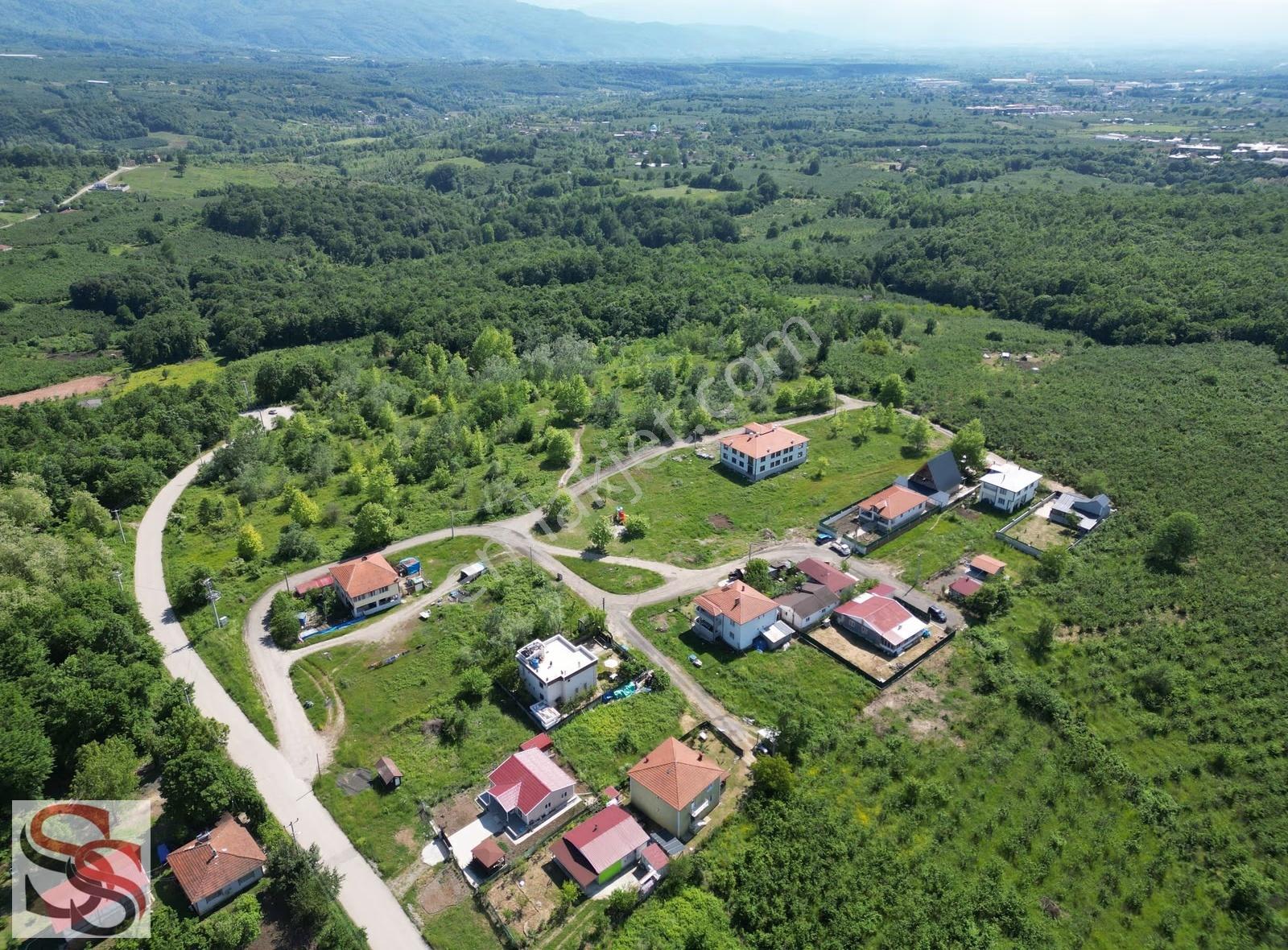 Hendek Mahmutbey Mahallesi 426 M² % 60 - 2 Kat Konut İmarlı Arsa - Görsel 24