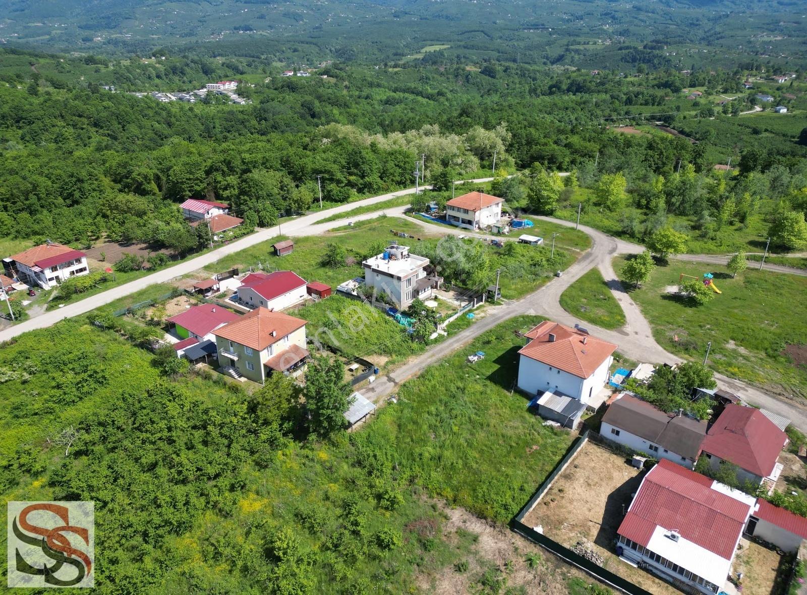 Hendek Mahmutbey Mahallesi 426 M² % 60 - 2 Kat Konut İmarlı Arsa - Görsel 25