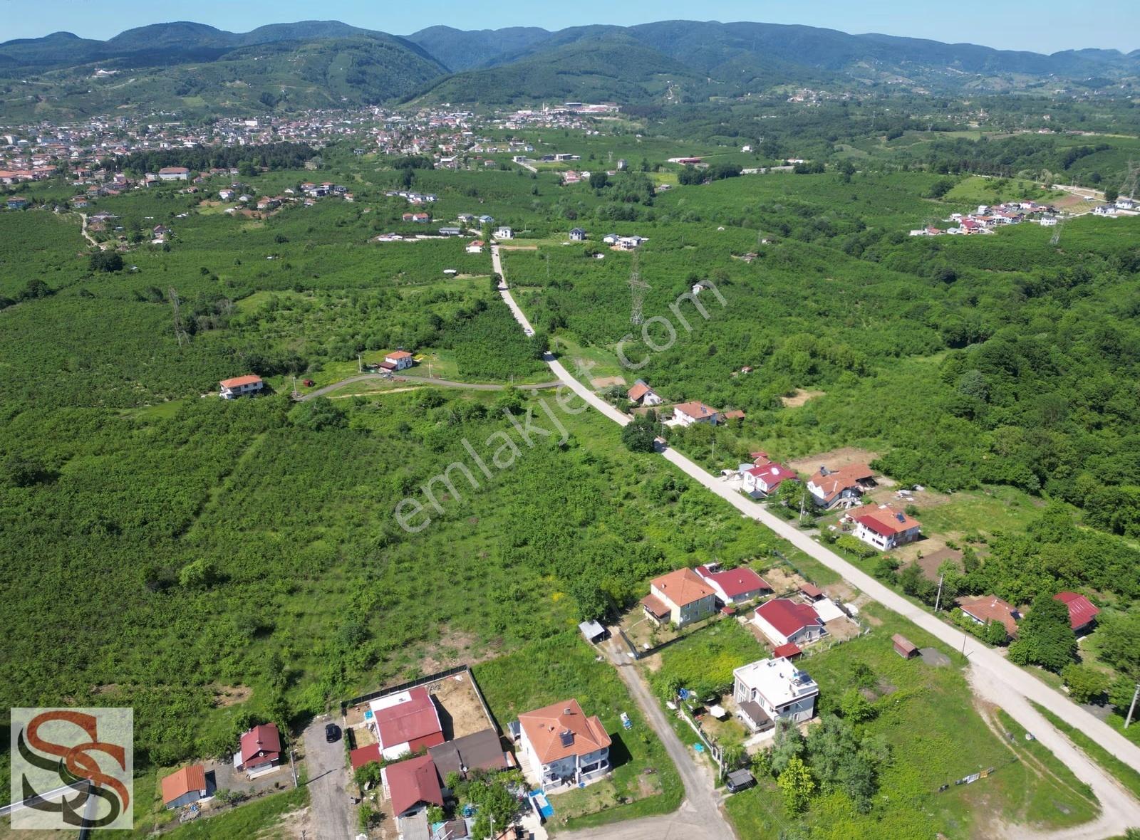 Hendek Mahmutbey Mahallesi 426 M² % 60 - 2 Kat Konut İmarlı Arsa - Görsel 11