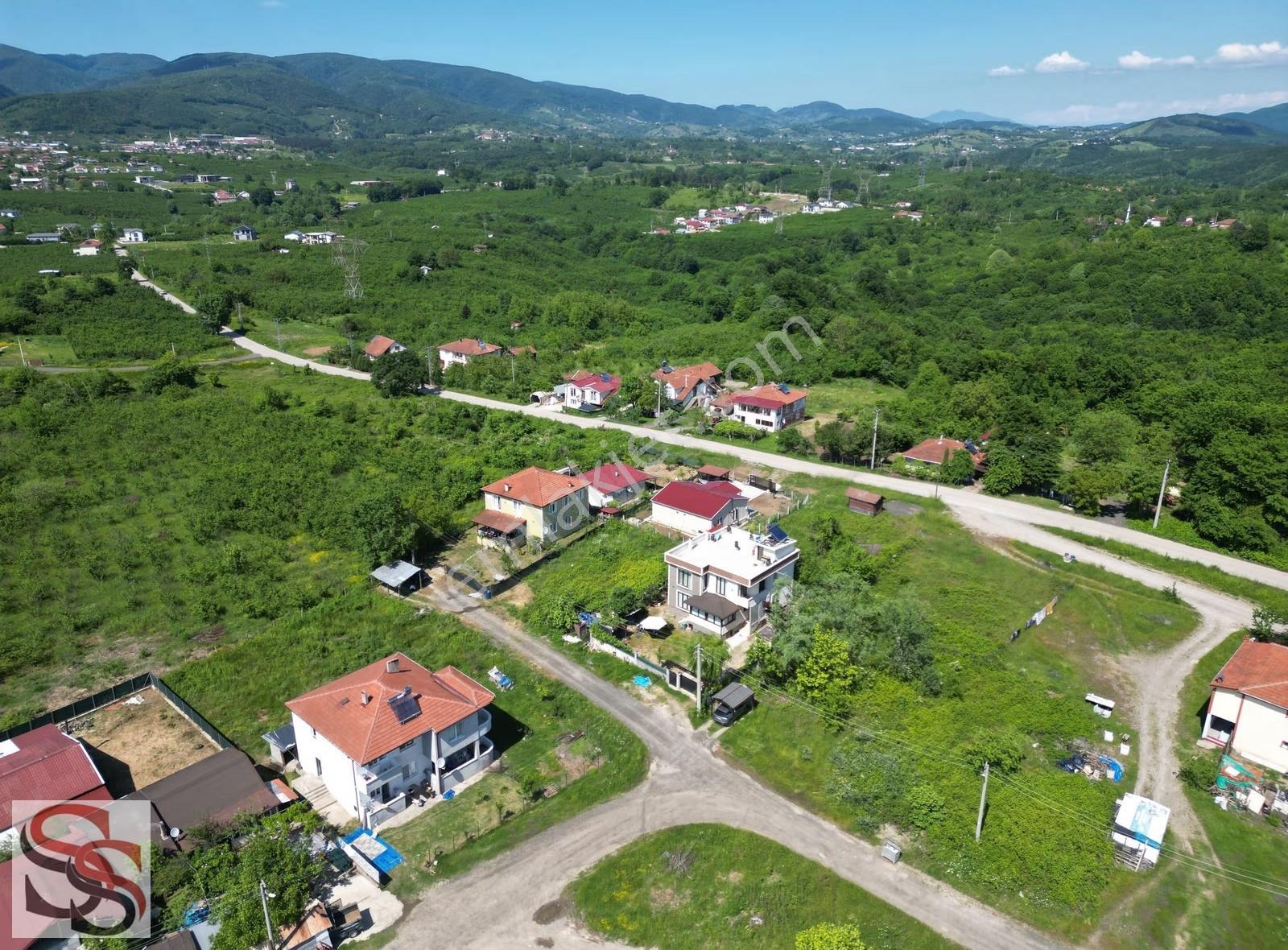Hendek Mahmutbey Mahallesi 426 M² % 60 - 2 Kat Konut İmarlı Arsa - Görsel 19