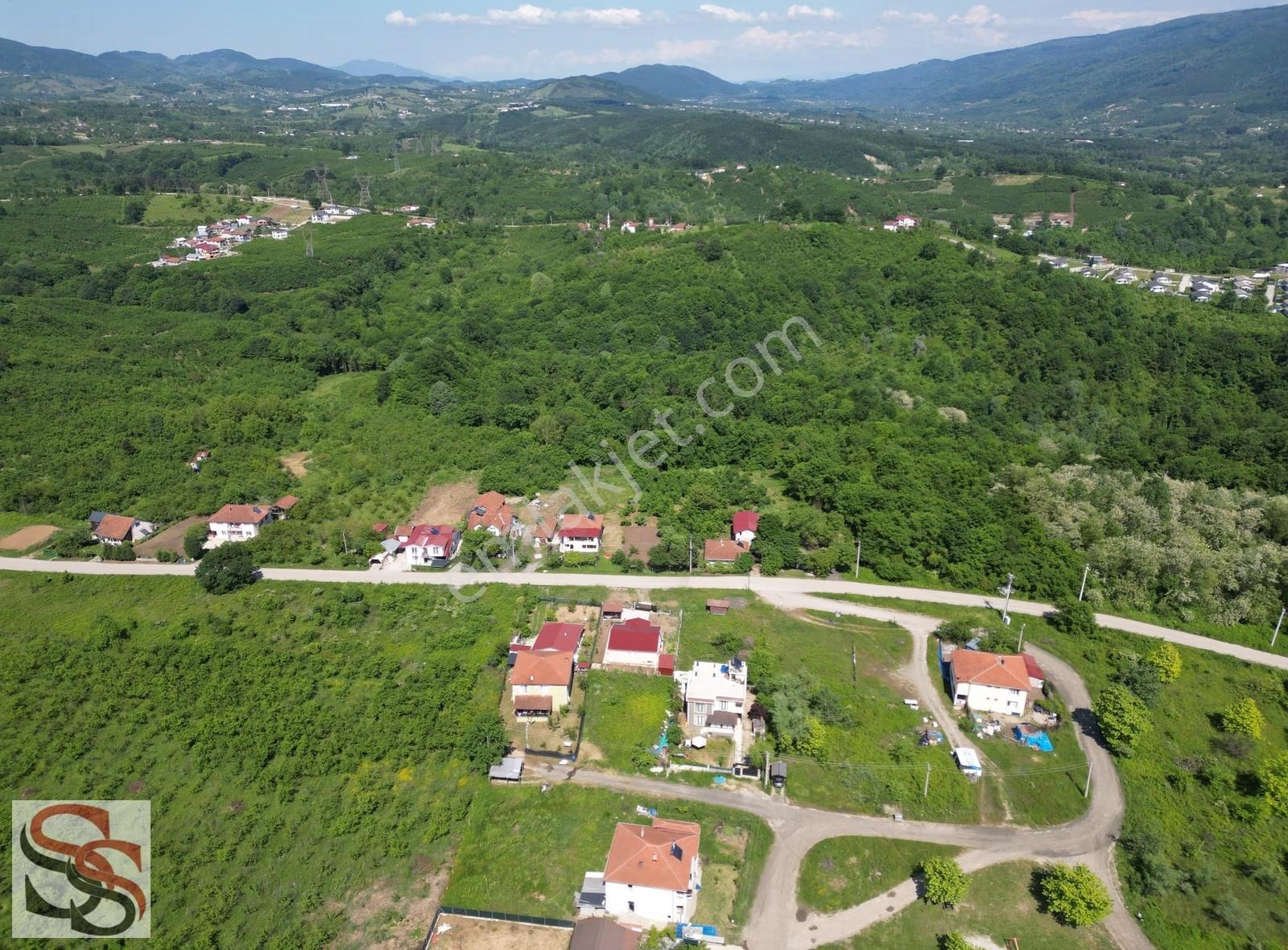 Hendek Mahmutbey Mahallesi 426 M² % 60 - 2 Kat Konut İmarlı Arsa - Görsel 8