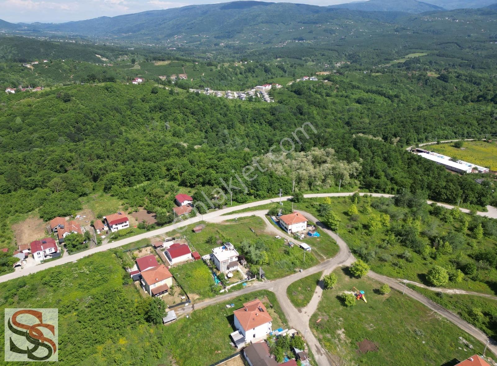 Hendek Mahmutbey Mahallesi 426 M² % 60 - 2 Kat Konut İmarlı Arsa - Görsel 3
