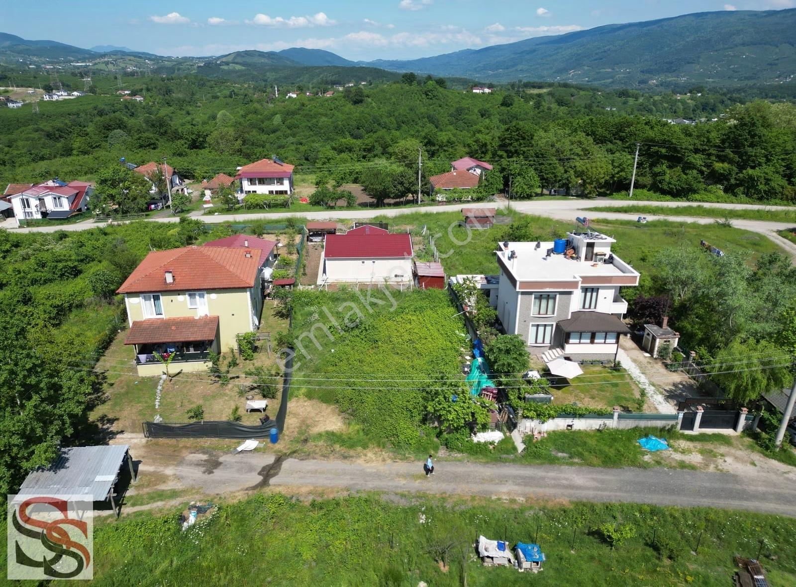 Hendek Mahmutbey Mahallesi 426 M² % 60 - 2 Kat Konut İmarlı Arsa - Görsel 31