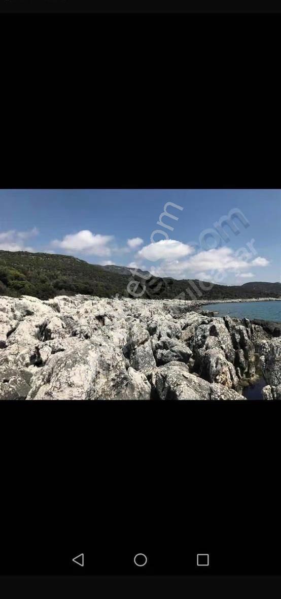 Demre Kapaklı Koyunda Muhteşem Konumda Denize Sıfır Arazi - Görsel 3