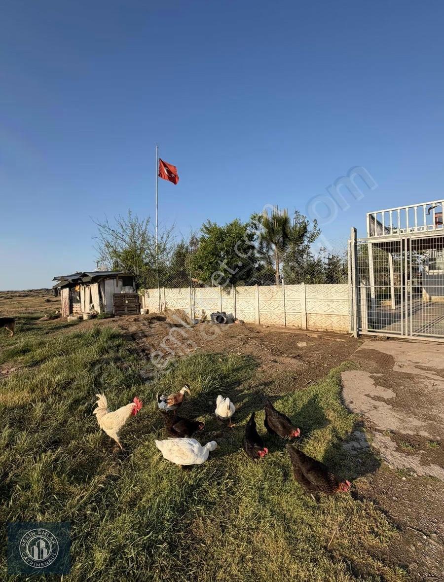 Karasuda Denize Sıfır 2 Parça Arsa Ve Bahçeli Müstakil Ev - Görsel 2
