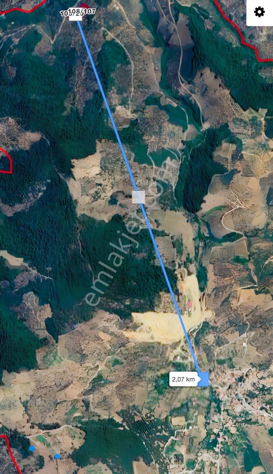 İzmir Bayındır Yola Cepheli 1697m2 Tek Tapu Satılık Zeytinlik - Görsel 19