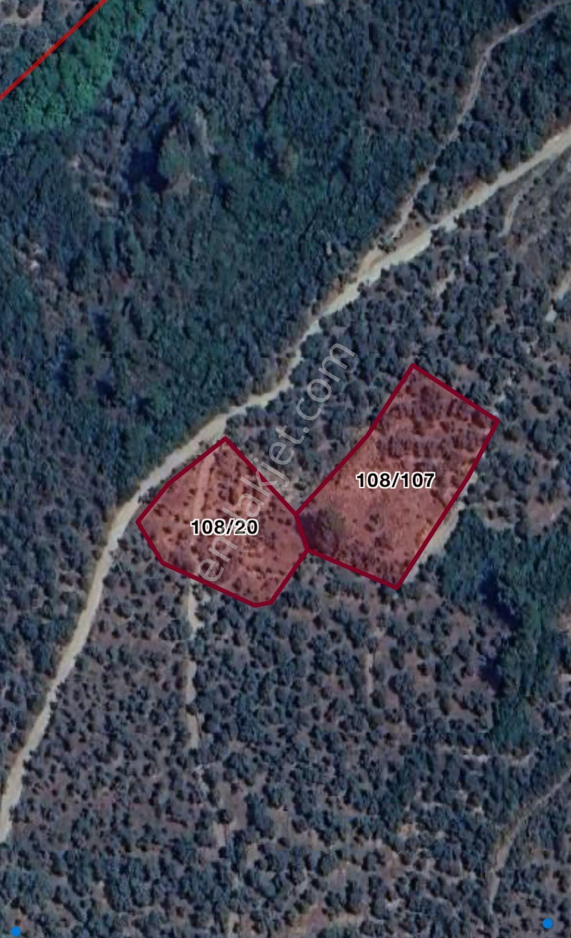 İzmir Bayındır Yola Cepheli 1697m2 Tek Tapu Satılık Zeytinlik - Görsel 16