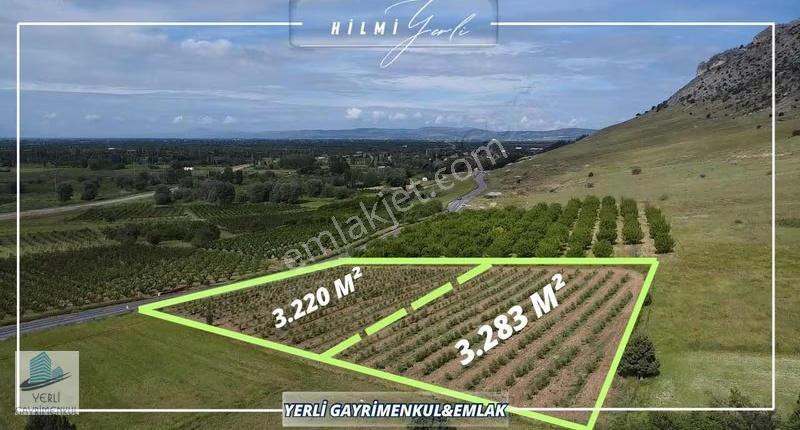 Yerli Gayrimenkul'den Turizm Ve Ticari İmarlı Zeytinlik Arazisi - Görsel 2