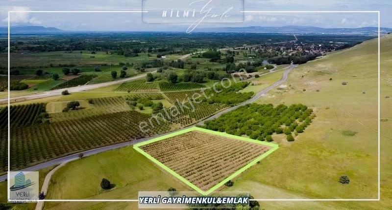 Yerli Gayrimenkul'den Turizm Ve Ticari İmarlı Zeytinlik Arazisi - Görsel 12