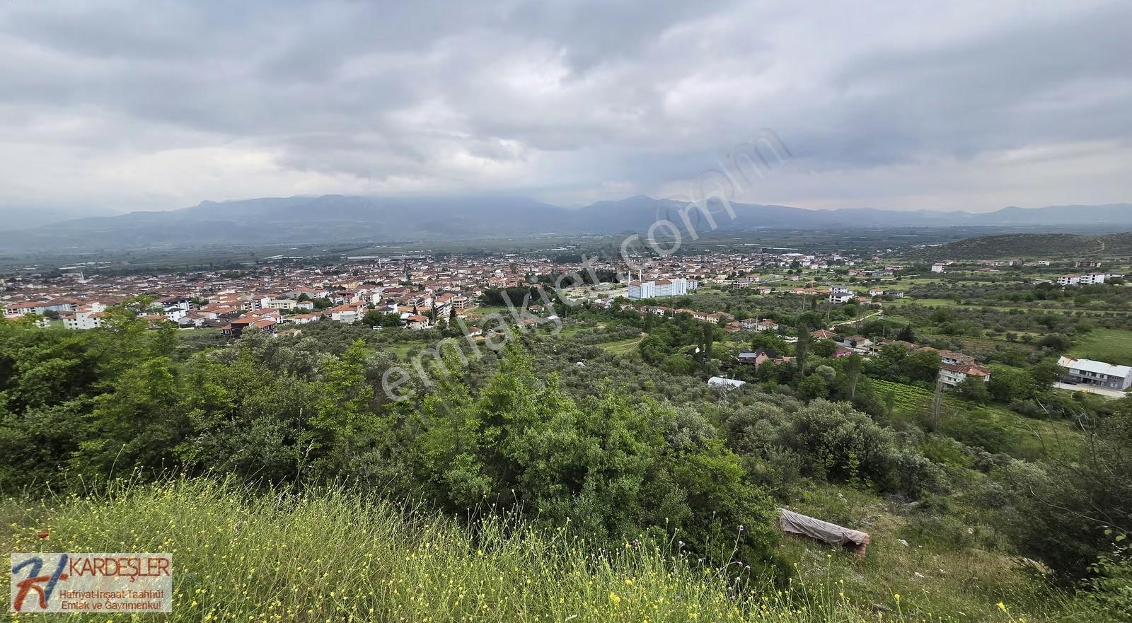 Sakarya Pamukova Elperek Mah. Manzaralı Zeytin Bahçesi - Görsel 3