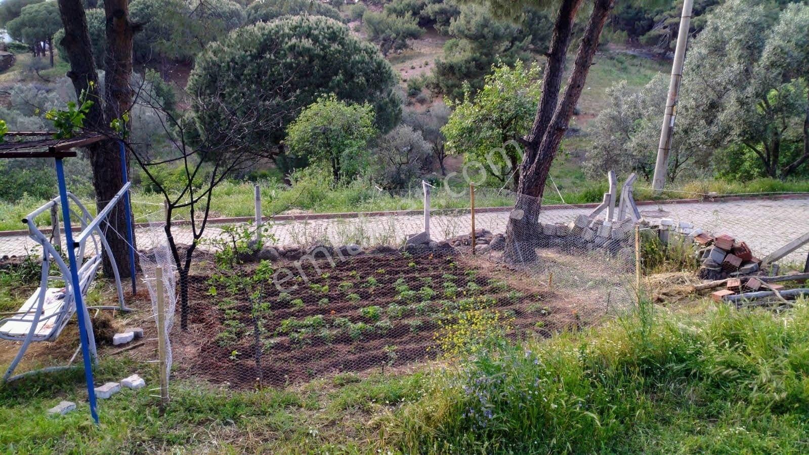 Dikili Gökçeağıl'da Çam Ormanı Kıyısında İmarlı Müstakil Ev - Görsel 4