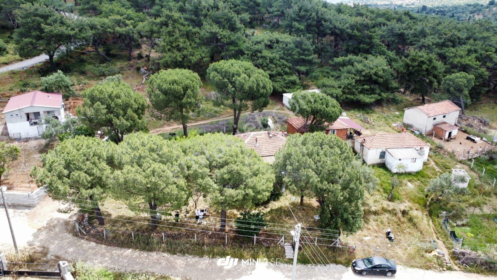 Dikili Gökçeağıl'da Çam Ormanı Kıyısında İmarlı Müstakil Ev - Görsel 21