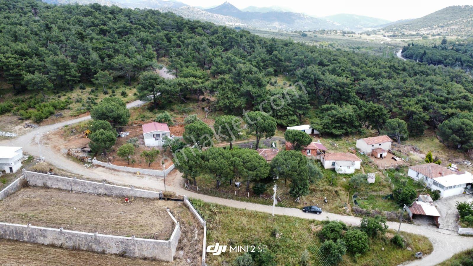 Dikili Gökçeağıl'da Çam Ormanı Kıyısında İmarlı Müstakil Ev - Görsel 18