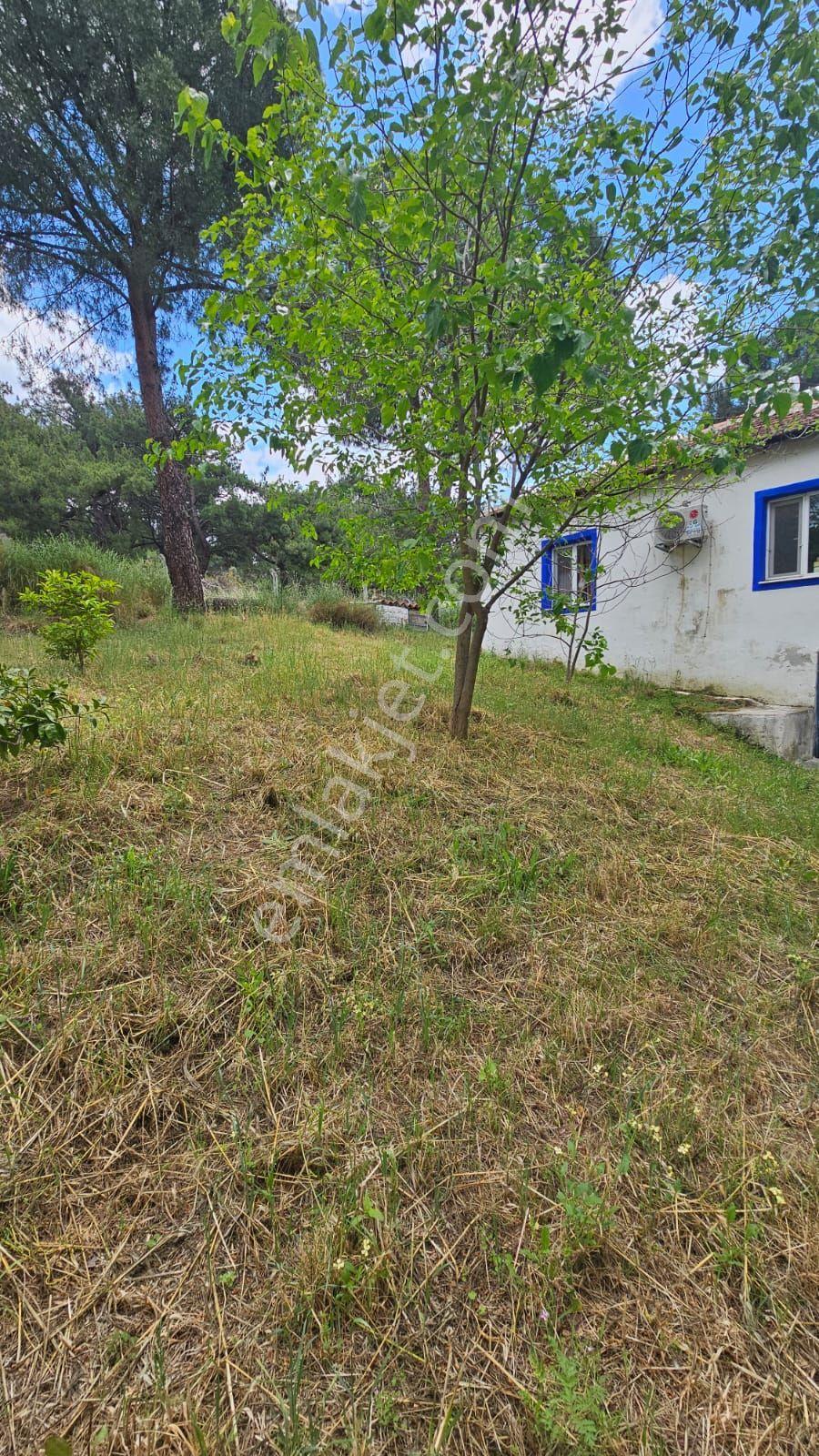 Dikili Gökçeağıl'da Çam Ormanı Kıyısında İmarlı Müstakil Ev - Görsel 27