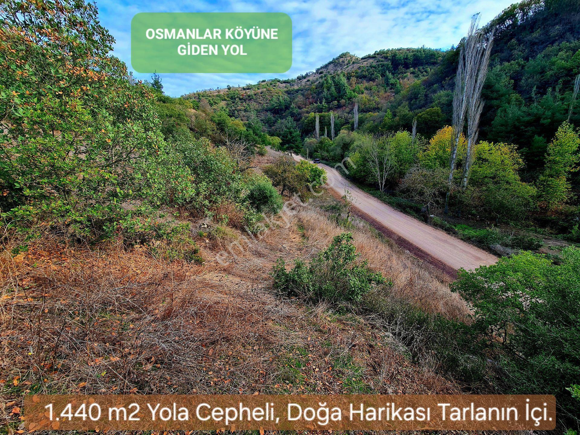 Balıkesir Sındırgı Osmanlarda Villa Bölgesi Asfalt Yola Sıfır Akarsulu 1440 M² Çok Uygun. Açıklamada - Görsel 15
