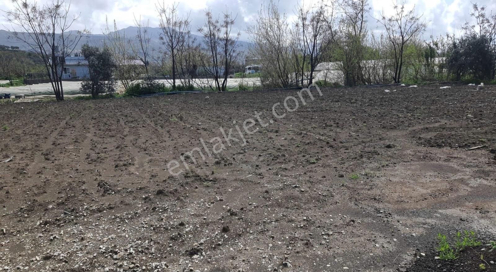 Degirmenyolunda 3200m2 - Görsel 2