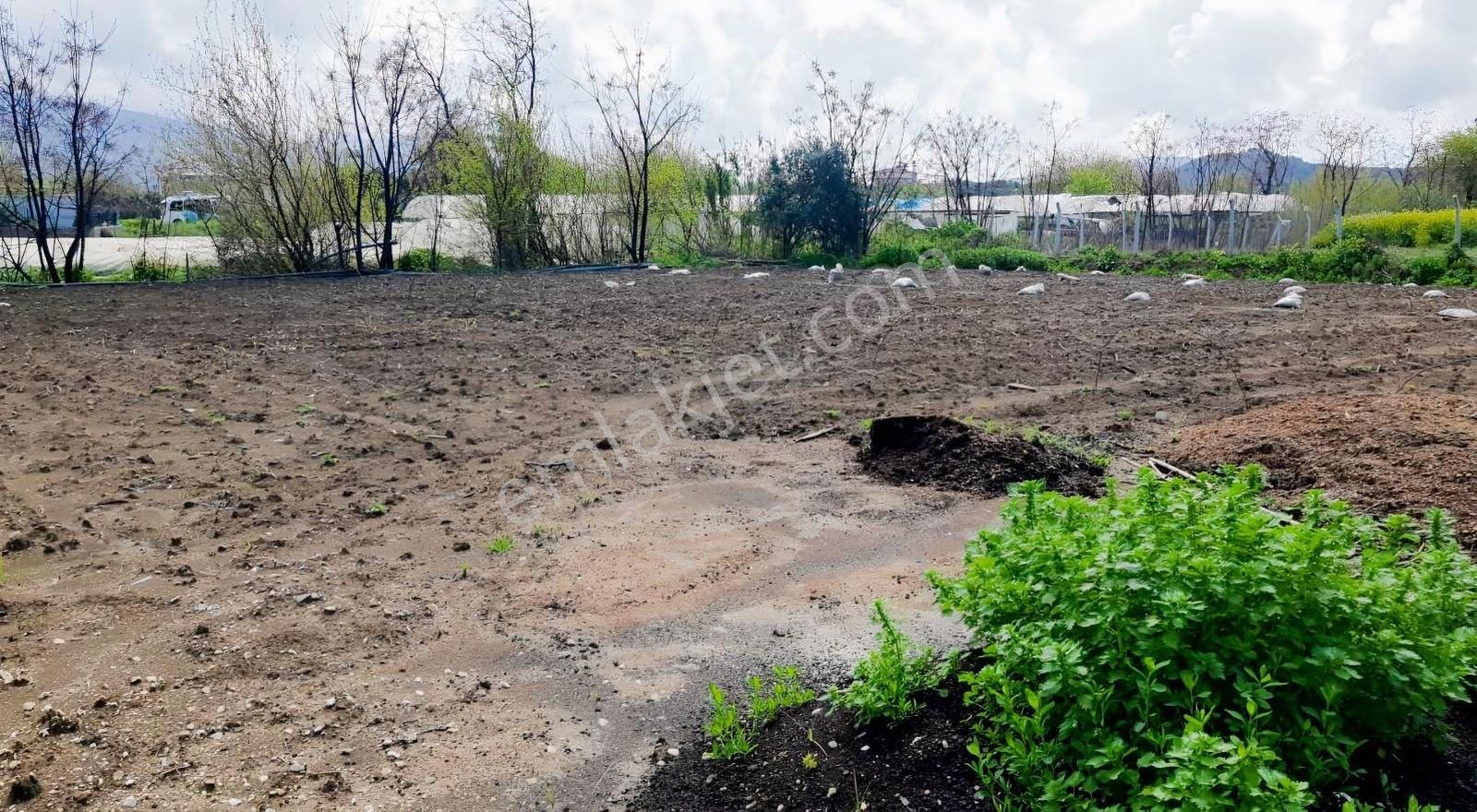 Degirmenyolunda 3200m2 - Görsel 4