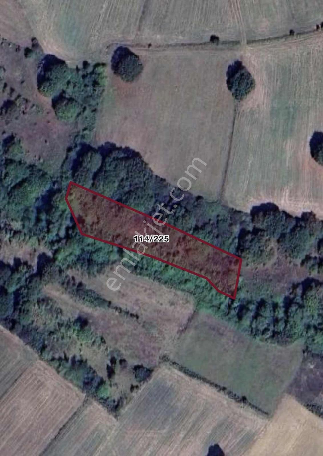 İzmit Yenicede Satılık 2.920m2 Tarla - Turgut Gayrimenkul - Görsel 2