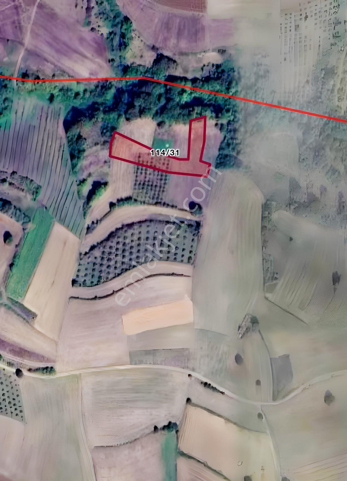 İzmit Yenicede Satılık 2.920m2 Tarla - Turgut Gayrimenkul