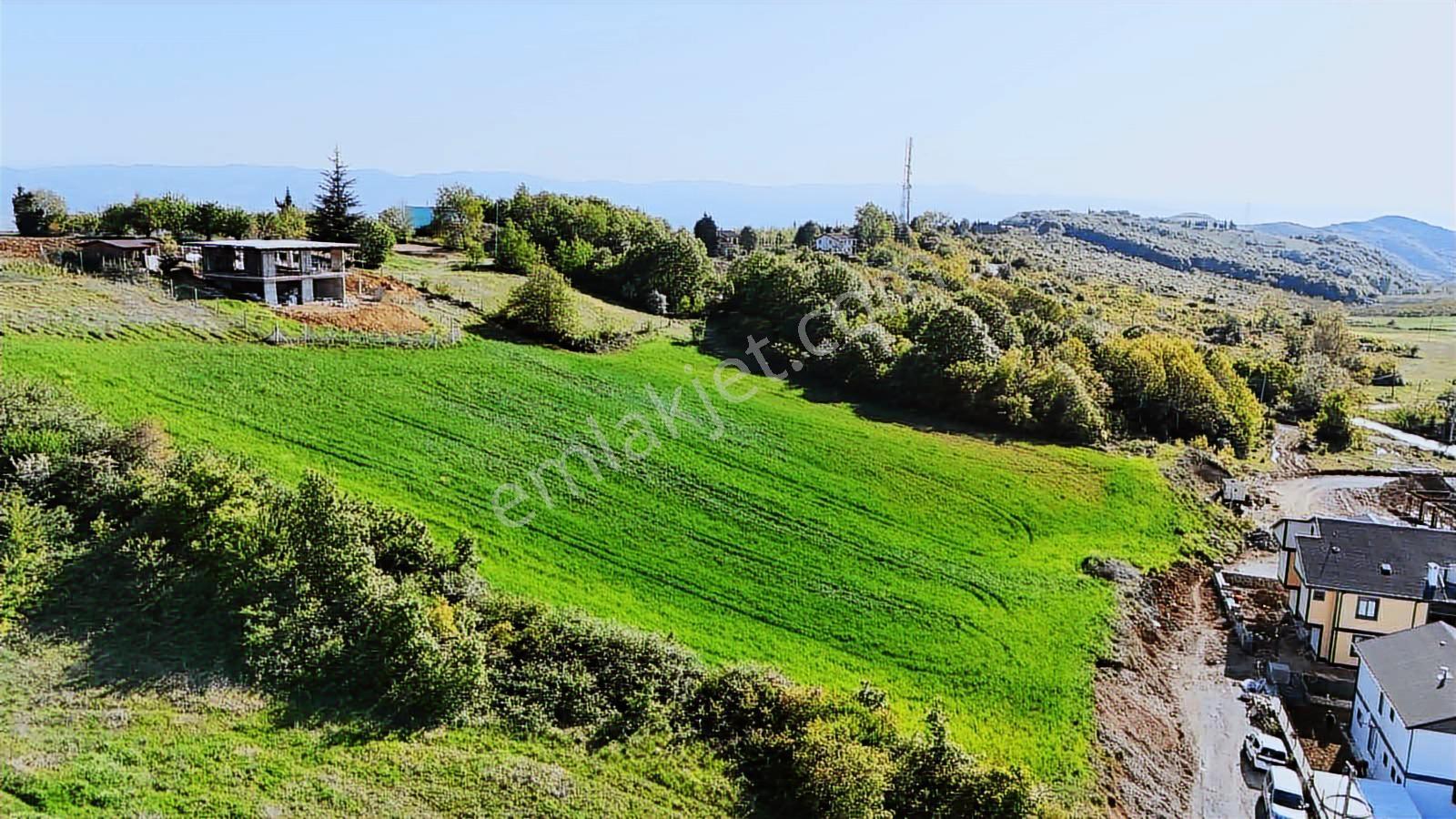 Deniz'den Oluklu'da Panoramik Deniz Manzaralı Arsa - Görsel 4