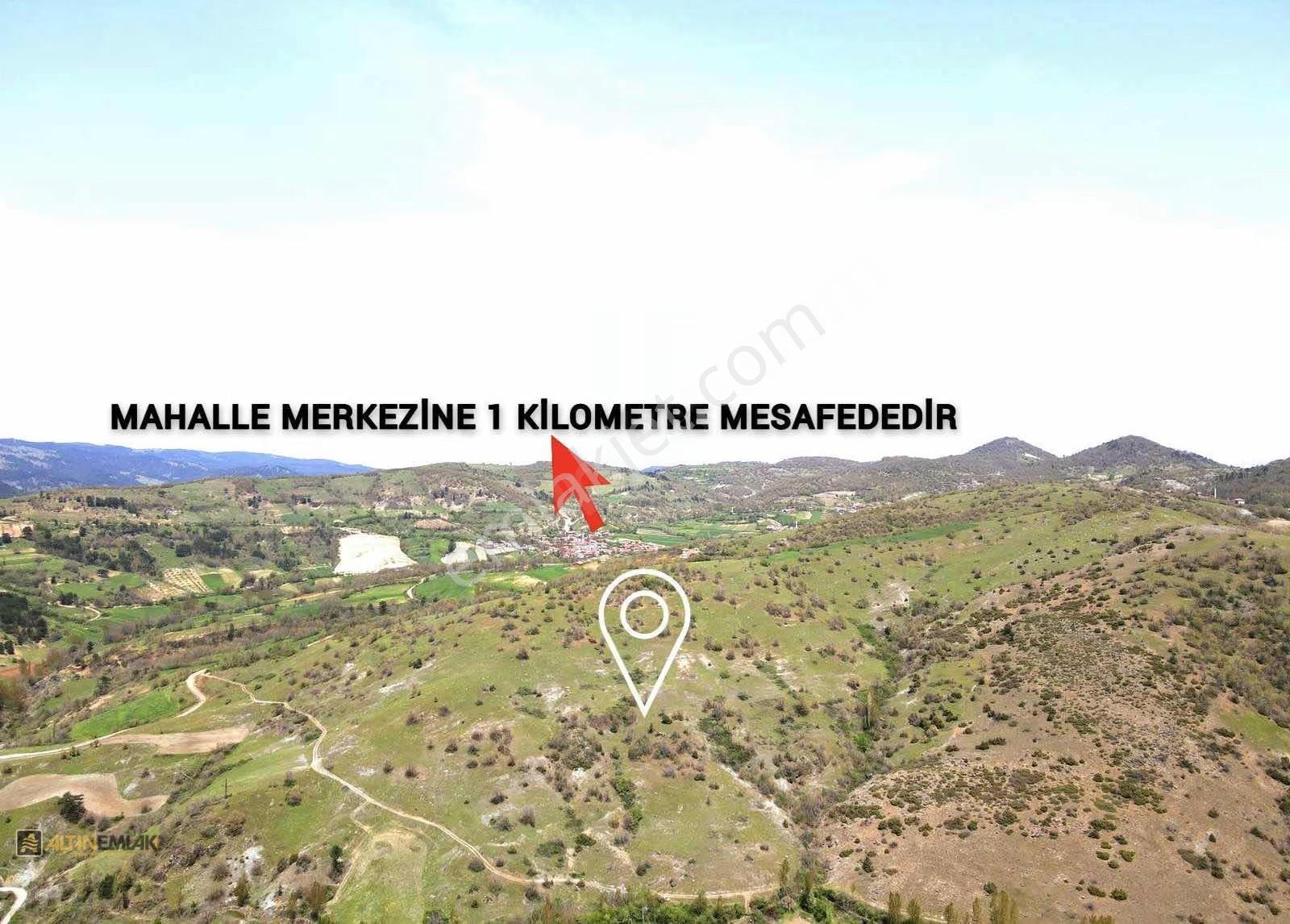 Balıkesir Sındırgı Kınık Da Satılık Tek Tapu 7.426 M2 Tarla - Görsel 7
