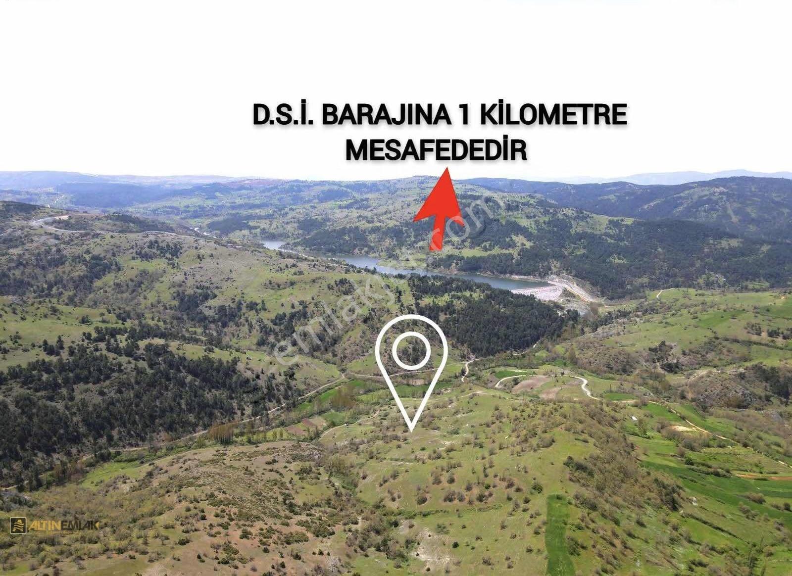 Balıkesir Sındırgı Kınık Da Satılık Tek Tapu 7.426 M2 Tarla - Görsel 5