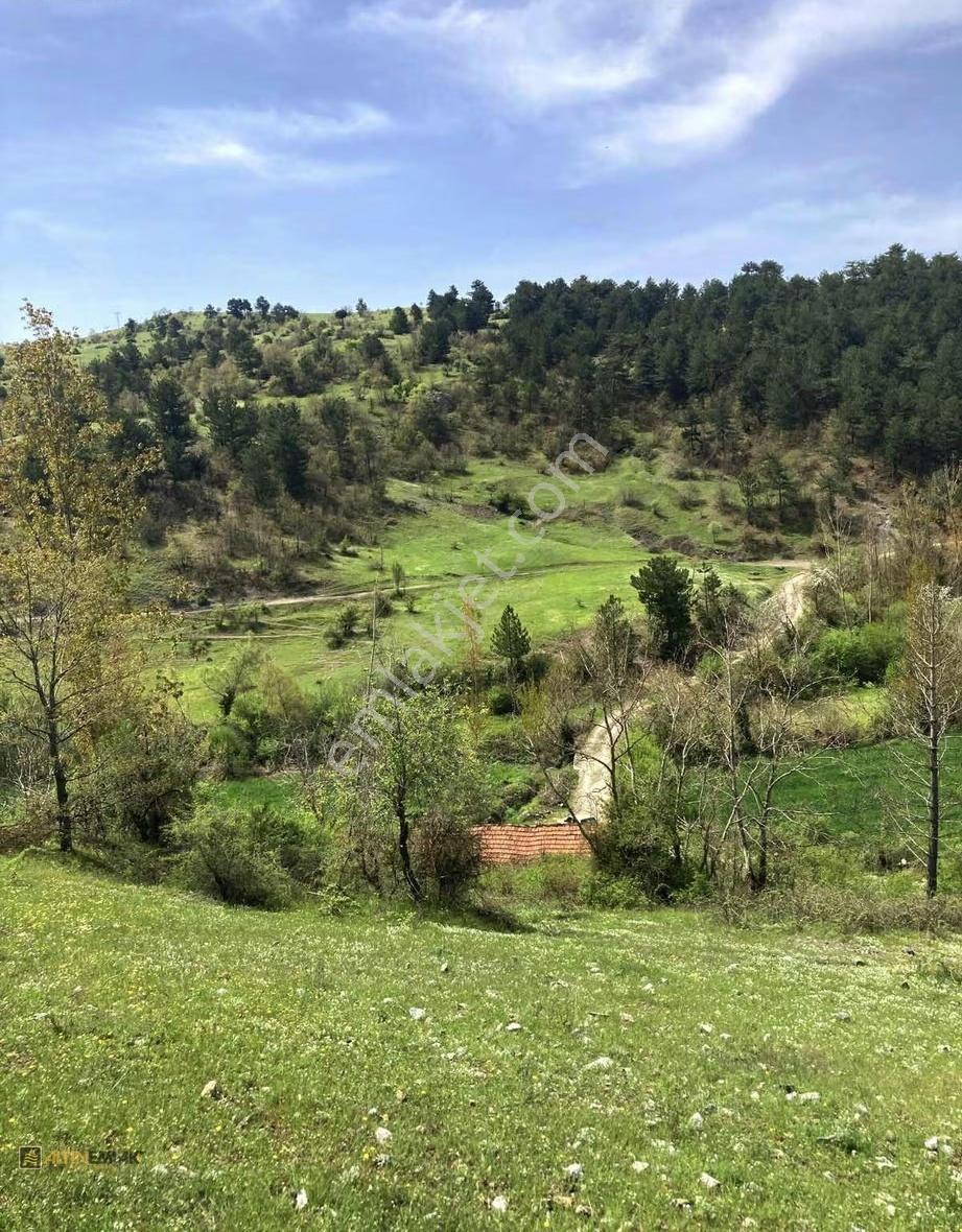 Balıkesir Sındırgı Kınık Da Satılık Tek Tapu 7.426 M2 Tarla - Görsel 3