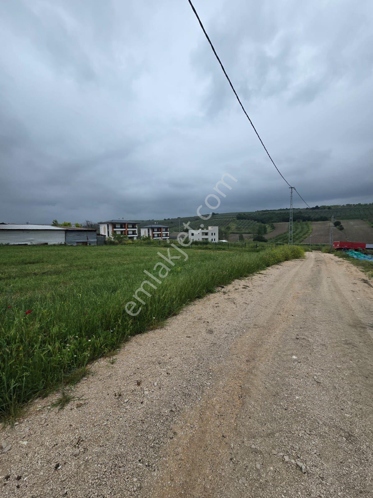Nilüfer'in Gelişen Bölgesinde Villa İmarlı Arsa - Görsel 14